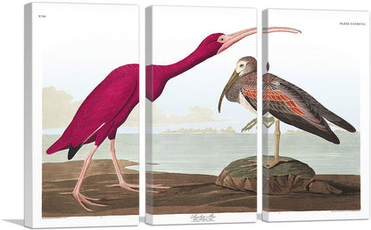 3-panel
