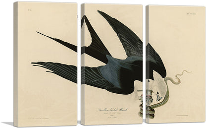 3-panel