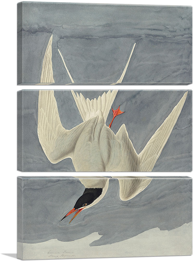 3-panel
