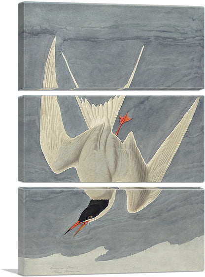 3-panel