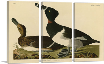 3-panel