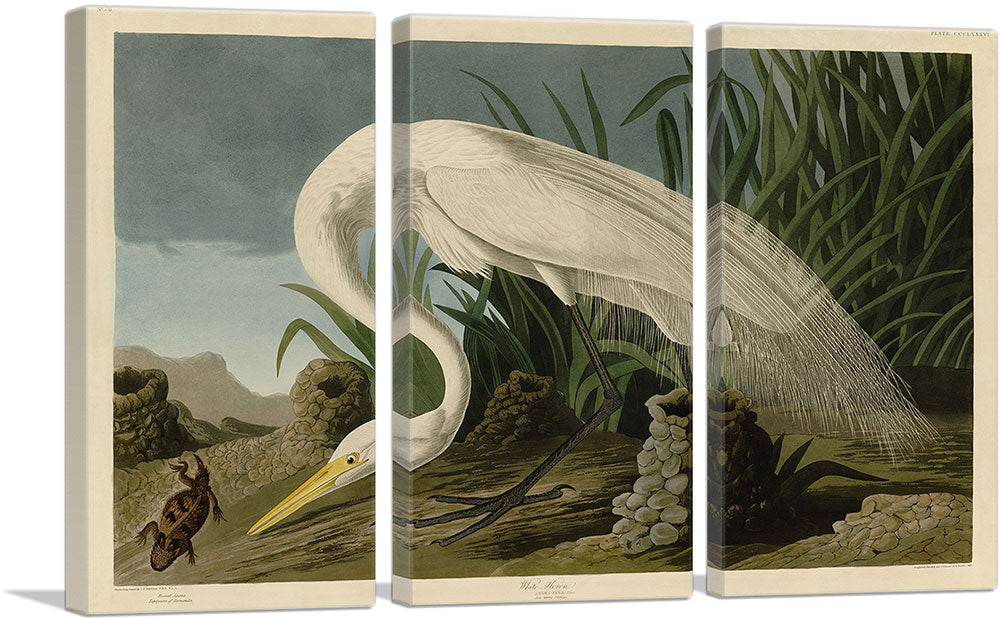 3-panel