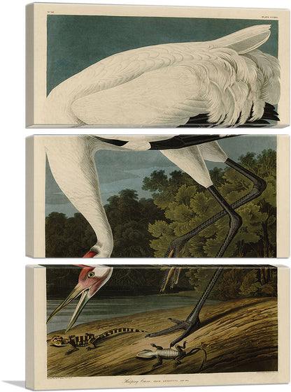 3-panel