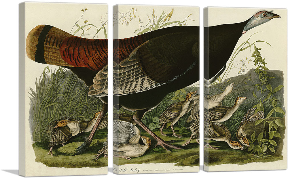 3-panel