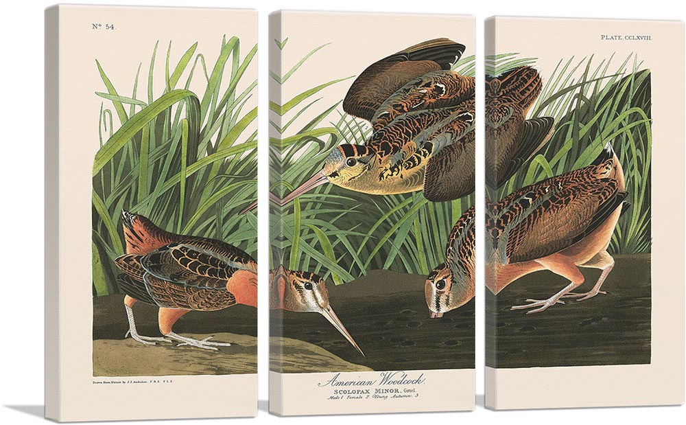 3-panel