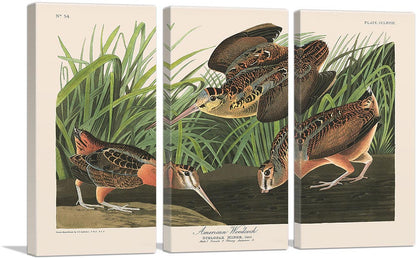 3-panel