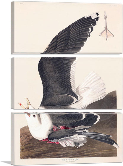 3-panel