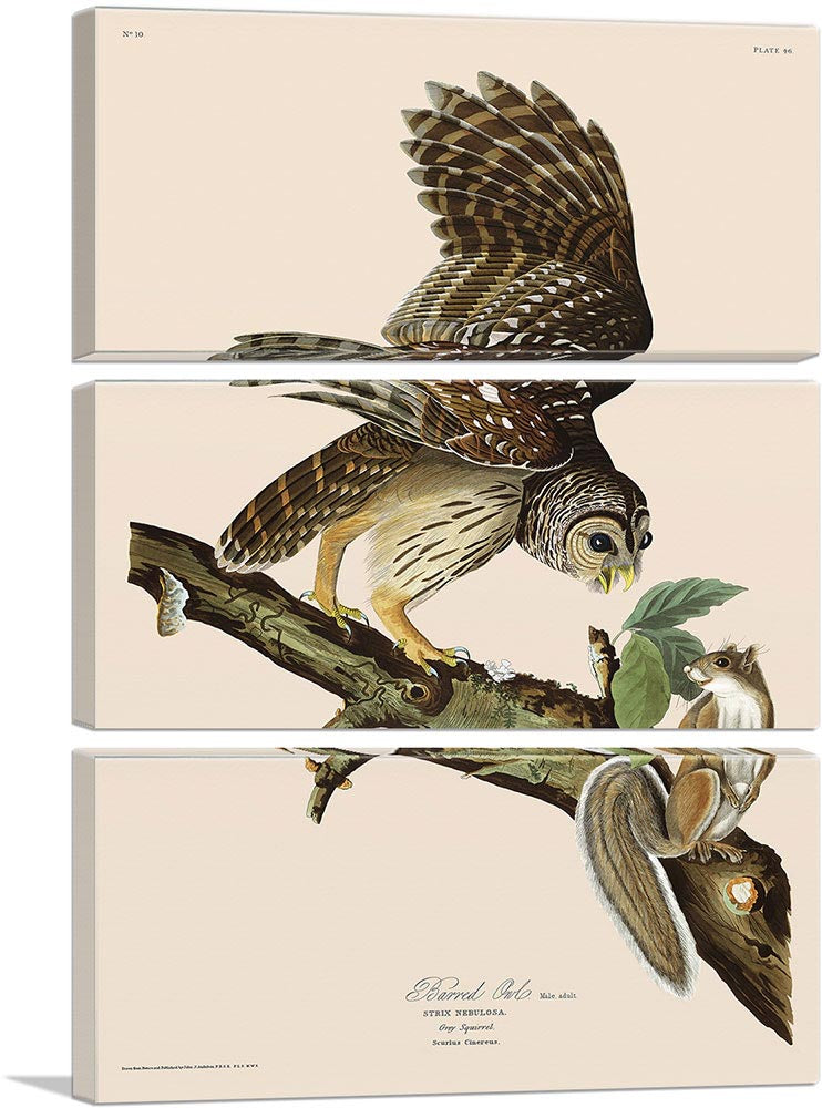 3-panel