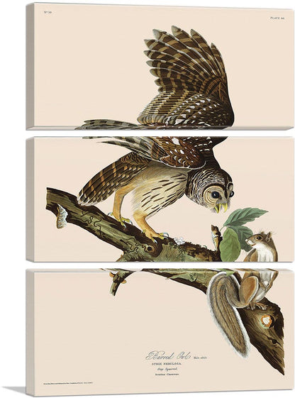 3-panel