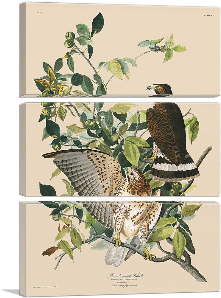 3-panel