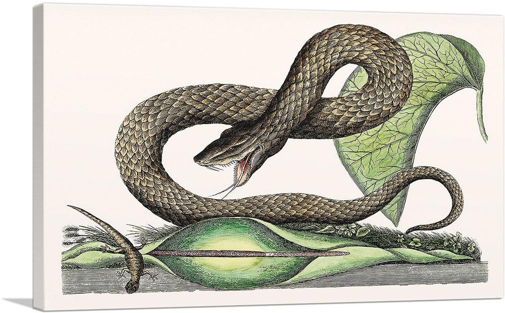 1-panel