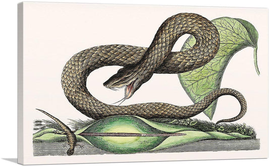 1-panel