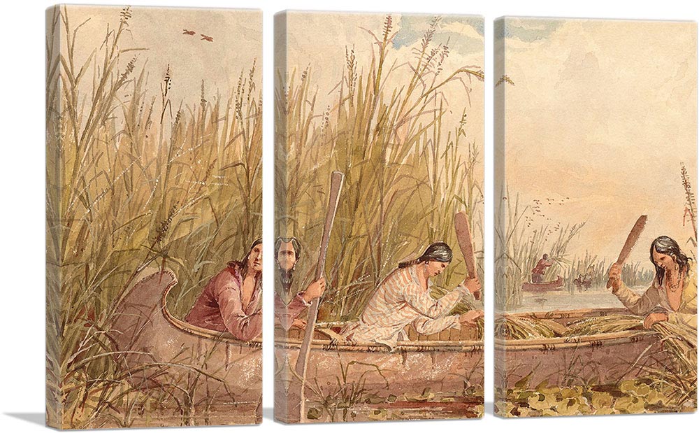 3-panel