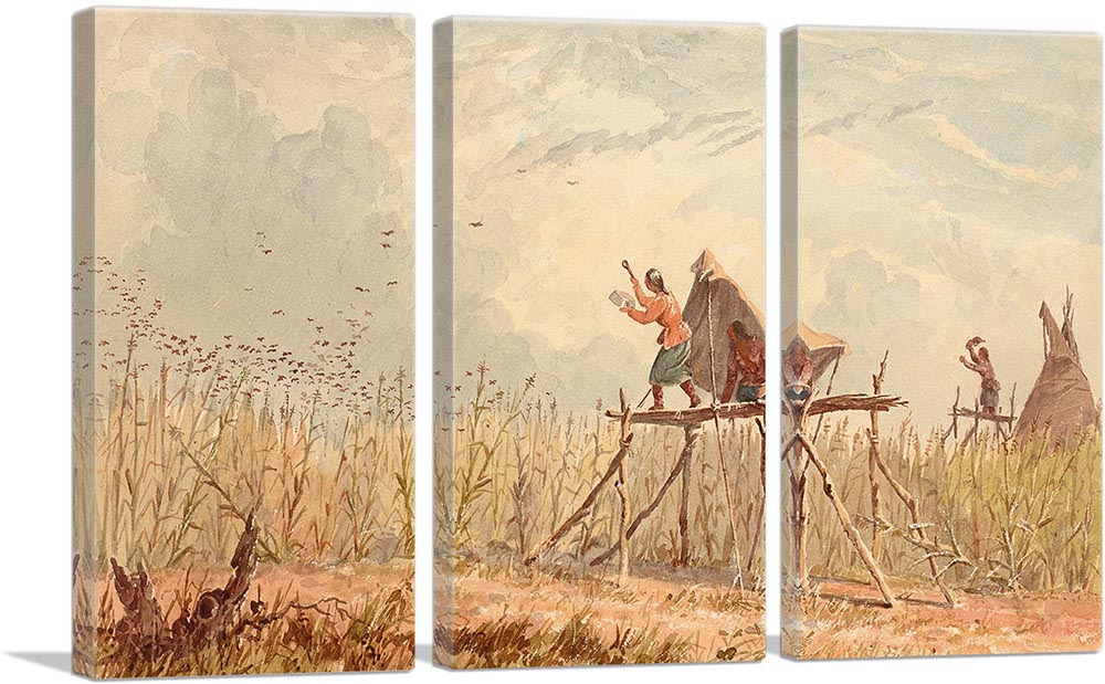 3-panel