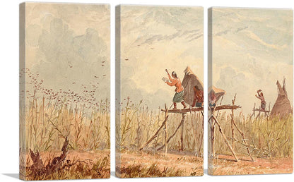 3-panel