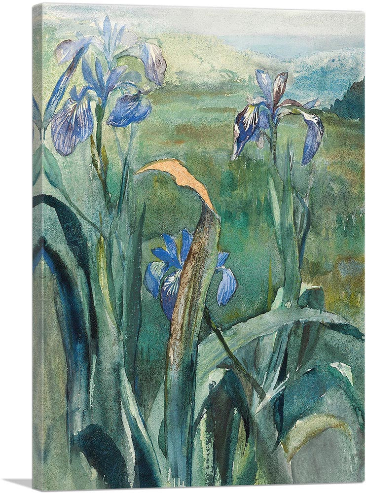 Blue Iris Study 1879
