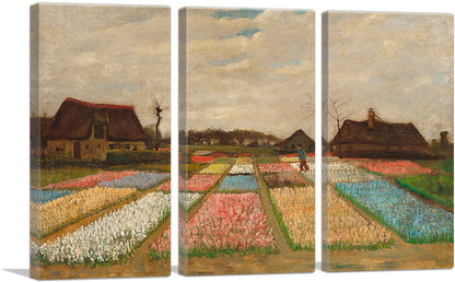 Bulb Fields - Flower Beds in Holland 1883