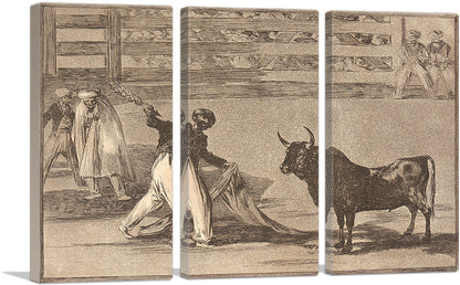 Origin of the Harpoons or Banderillas 1816