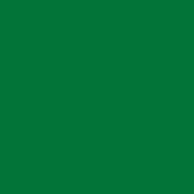 GREEN Canvas Art Prints