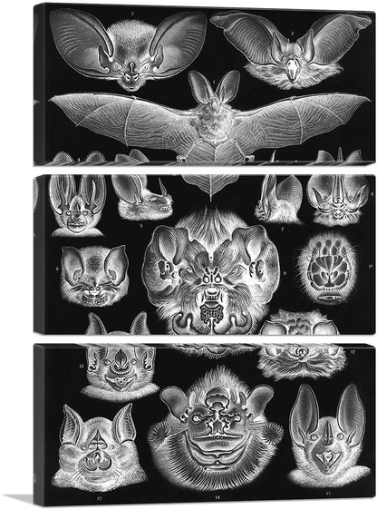 3-panel