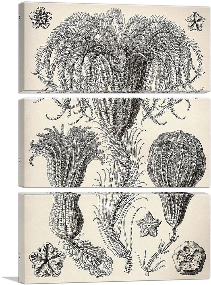 3-panel