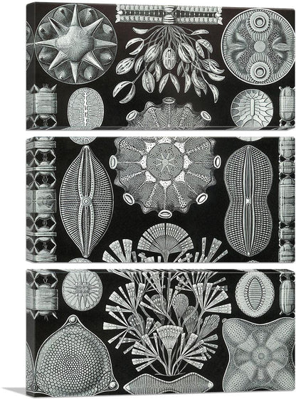 3-panel