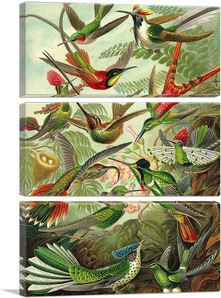 3-panel