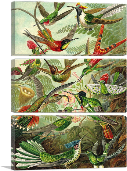 3-panel