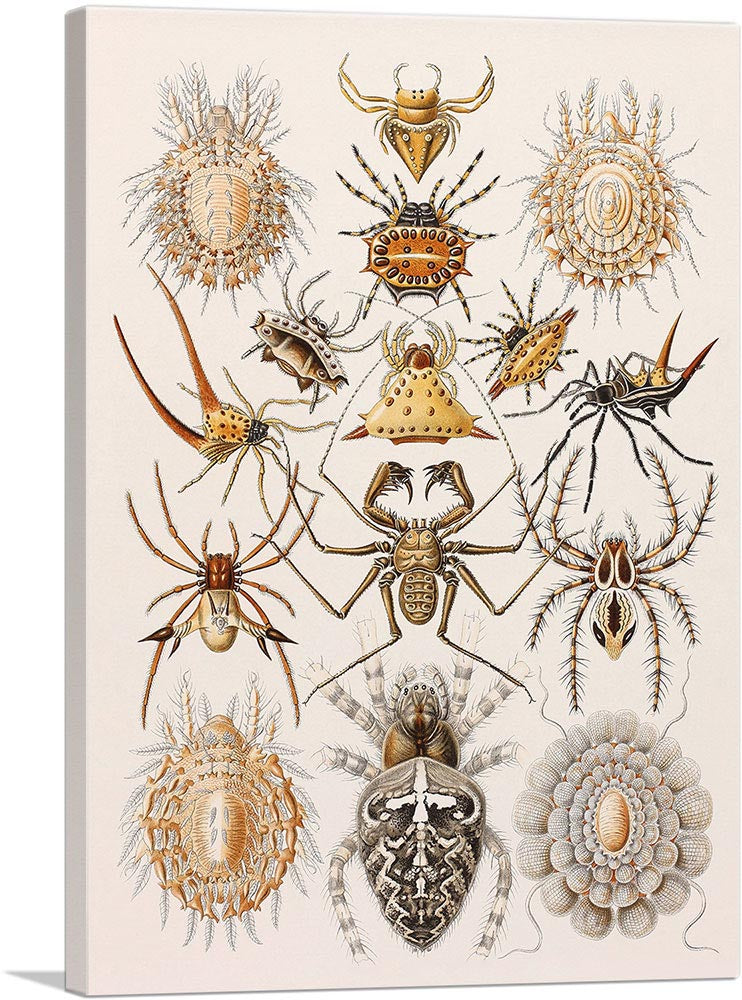 1-panel