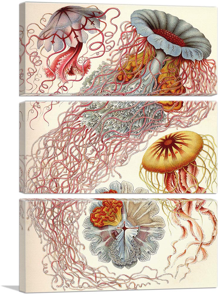 3-panel