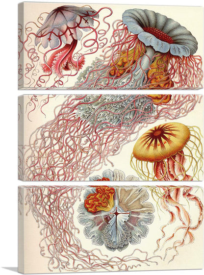 3-panel