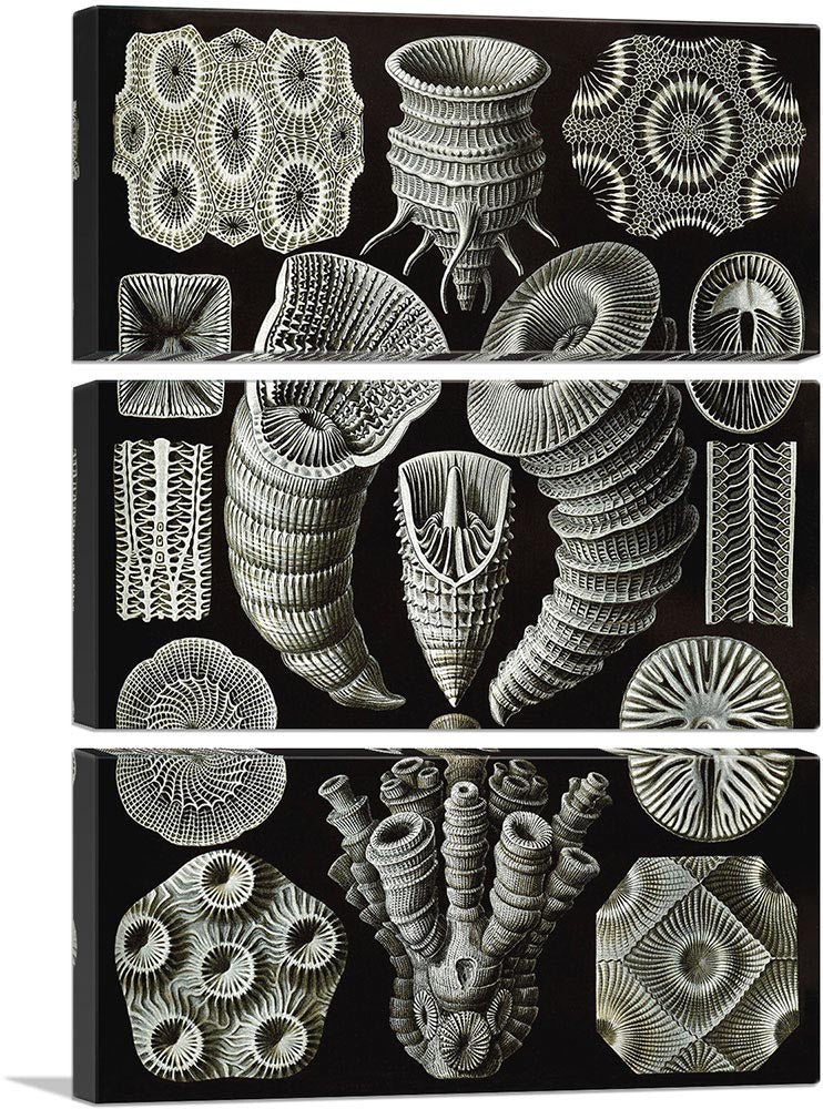 3-panel