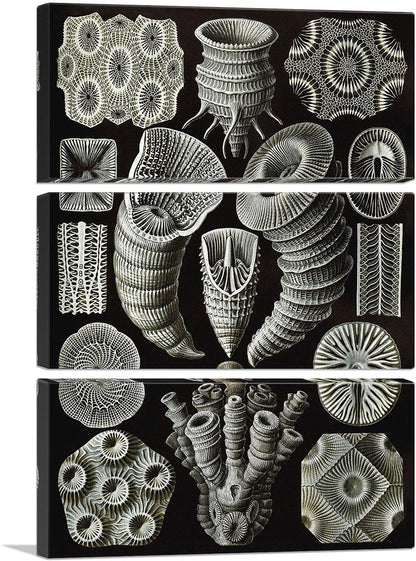 3-panel