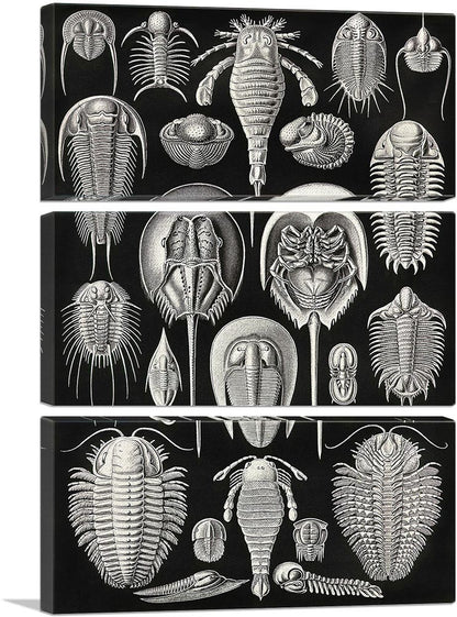 3-panel