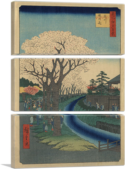 3-panel