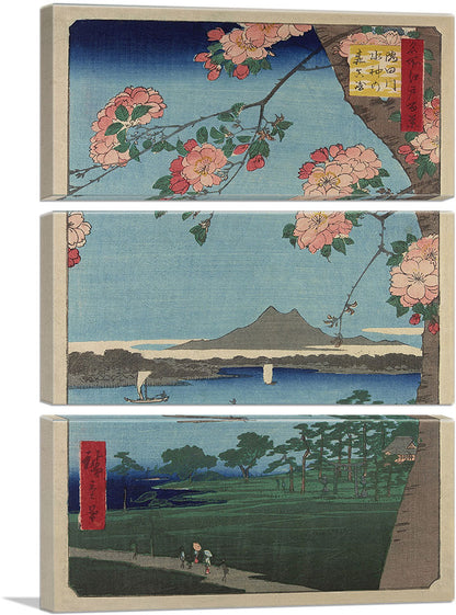 3-panel