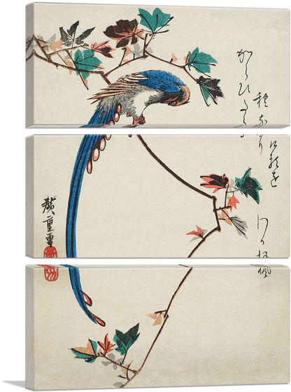 Blue Magpie On Maple Branch