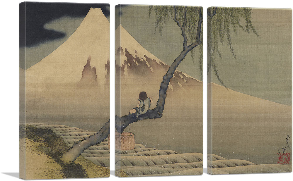3-panel