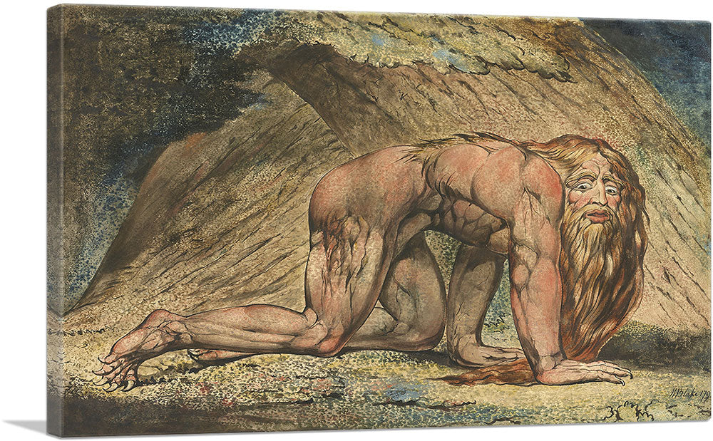 1-panel