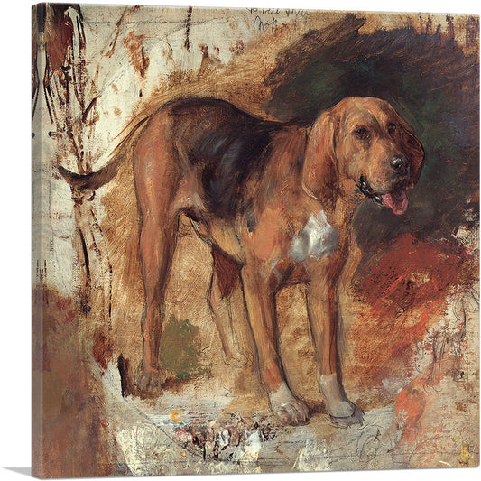 1-panel