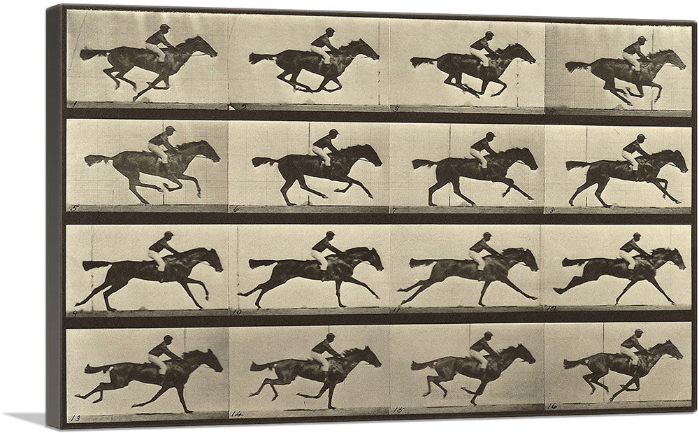 1-panel