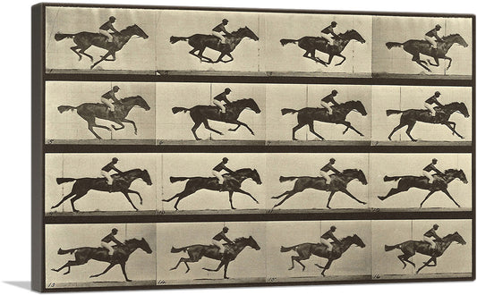 1-panel