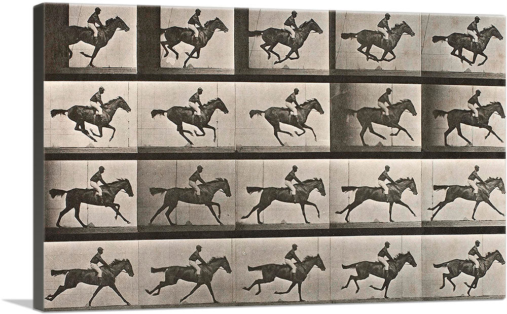 1-panel