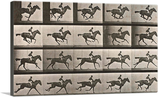 1-panel