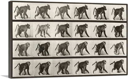 1-panel