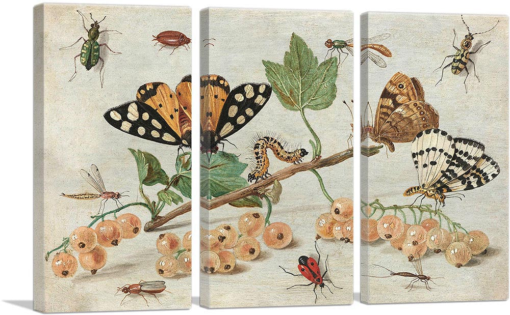 3-panel