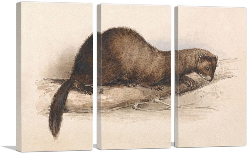 3-panel