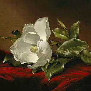 MARTIN JOHNSON HEADE Canvas Art Prints