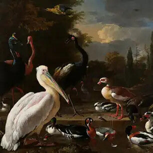 MELCHIOR D'HONDECOETER Canvas Art Prints