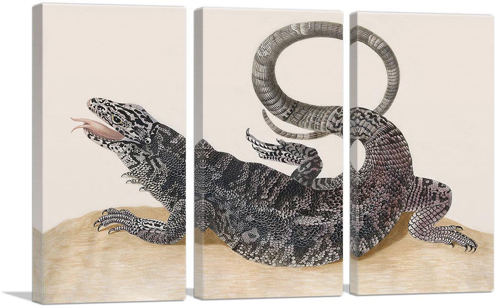 3-panel
